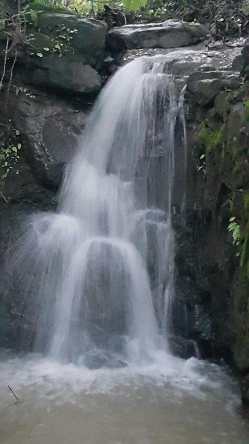 Vatul Cherilyn Monta Resort - Ratnagiri מראה חיצוני תמונה